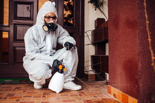 Attic and Crawl Space Rodent Treatment in Thatcher